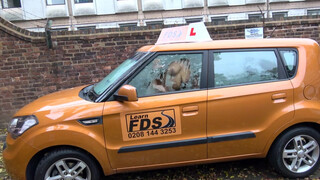 Fake Driving School kolumbiai cukicsaj gecit akar