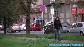 PublicAgent - Óriás tőgyes cseh bige
